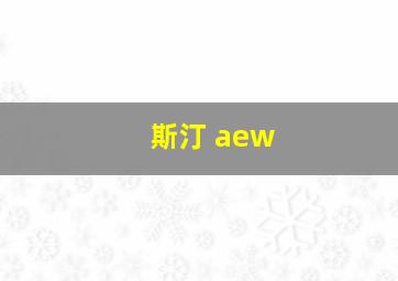 斯汀 aew